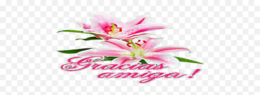 Pegatinas Gracias Amor Con Flores Wastickerapps On Windows - Girly Emoji,Emoticon De Muchas Rosas Para Whatsapp