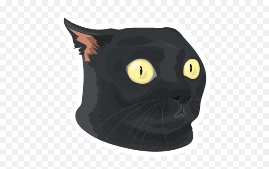 What Has Been Seen Cannot Be Unseen - Sticker Mania Emoji,Cat Meme Emotions Surprise