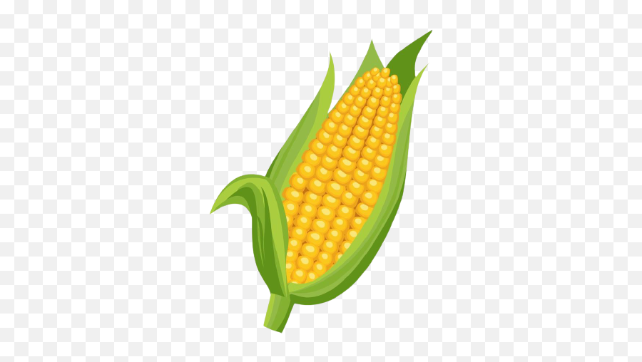 Alcanzando Proteínas By Roldanisabella On Genially Emoji,Corn Emoji Transparent