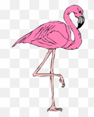 Girl Emoji Png - Flamingo Animal Clip Art,Flamingo Emoji Android