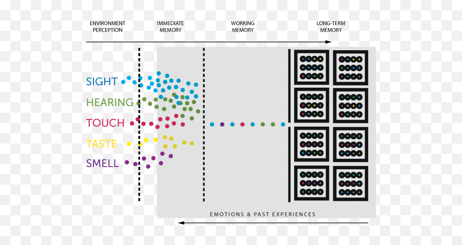 Understanding How Your Workforce Learns Can Make Them More - Dot Emoji,Taste Of Emotions