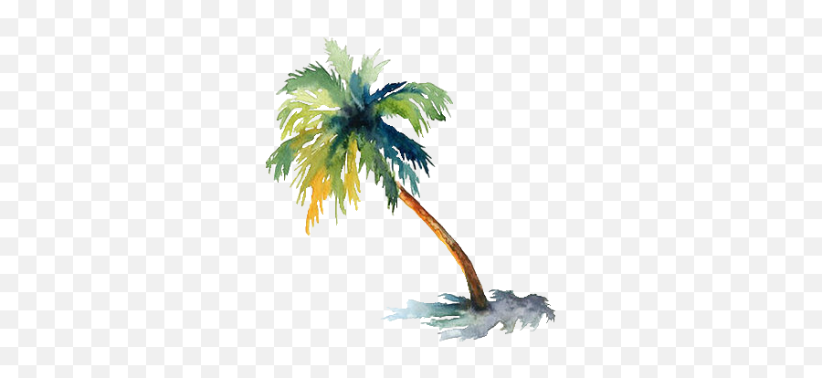 Books Julie - Transparent Watercolor Palm Tree Emoji,Emojis Librospng