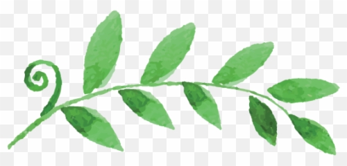 How To Bring Nature To You - Leaf Emoji,Green And Plants Indoor Effect On Human Emotion
