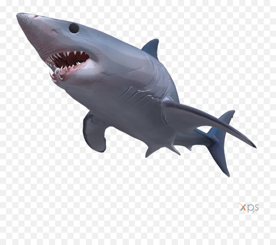 Mako Shark - Transparent Background Shark Png Transparent Emoji,Shark Emoticon Depth