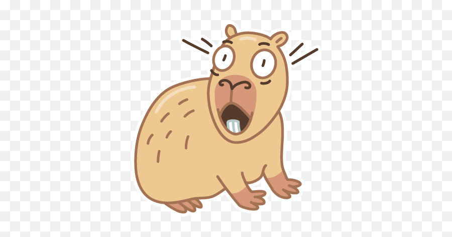 Sylo Smart Wallet Homepage Digital Wallet Meets Private Emoji,Capybara Emoticon