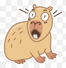 Sylo Smart Wallet Homepage Digital Wallet Meets Private Emoji,Capybara Emoticon