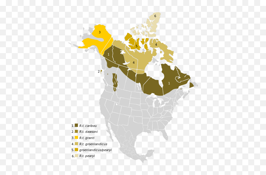 Porcupine Caribou - Wikiwand Emoji,Michael Dlouhy 7 Positive Emotions