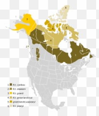 Porcupine Caribou - Wikiwand Emoji,Michael Dlouhy 7 Positive Emotions