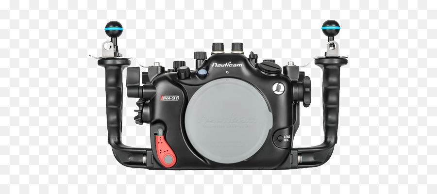 Sony A1 Underwater Housings - Underwater Photography Guide Emoji,Underwater Creature That Looks Like It Has A Surprised Emoticon