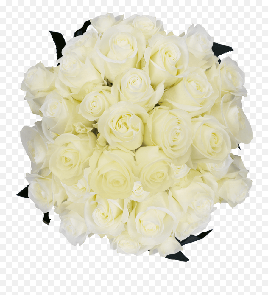 3 Dozen White Roses With Babyu0027s Breath And Green - Fresh Emoji,White Rose Emoji