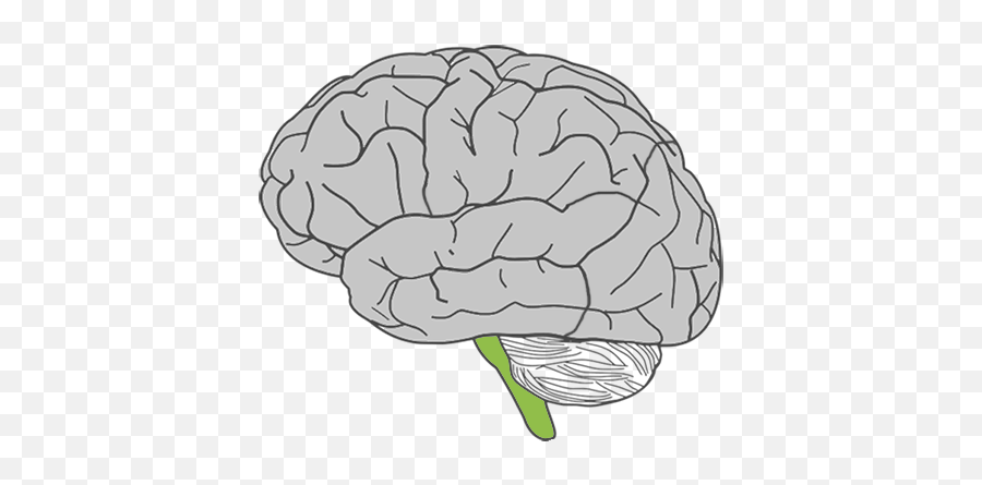 Ncc Presentation Emoji,Brain Part For Emotions