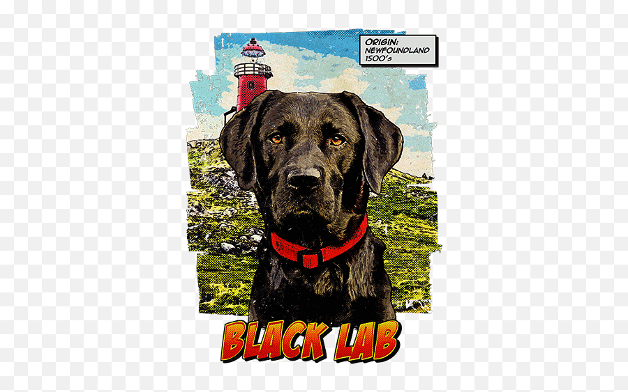 Black Lab Gifts Jewelry U0026 Labrador Retriever Products - Martingale Emoji,Happy Birthday Emoticons With Labrador Retriever