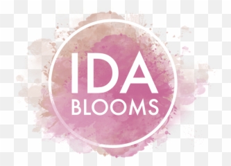 Questions From A 20 - Something Vol 3 U2014 Ida Blooms New Year Emoji,Jealous Text Emojis