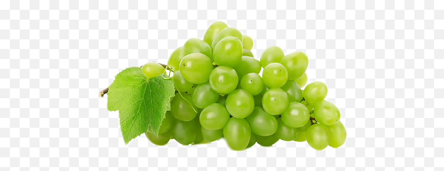 Red Wine Juice Common Grape Vine Red Globe - Grapes Png Best Foods For Type 2 Diabetes Emoji,Grape Emoji