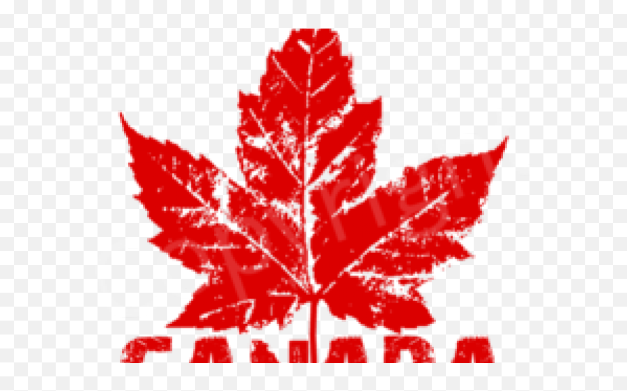 Maple Leaf Png Transparent - Transparent Canada Maple Leaf Logo Emoji,Free Red Maple Leaf Emoji