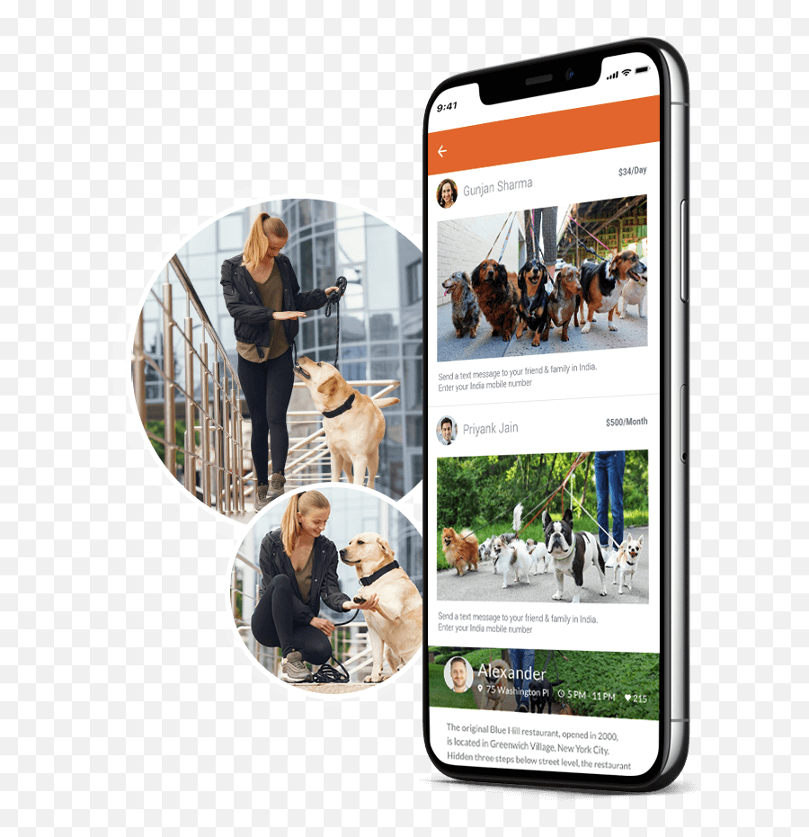 Uber For Dog Walker On - Demand Dog Walking App Development Iphone Emoji,Puppy Emoji Alibaba