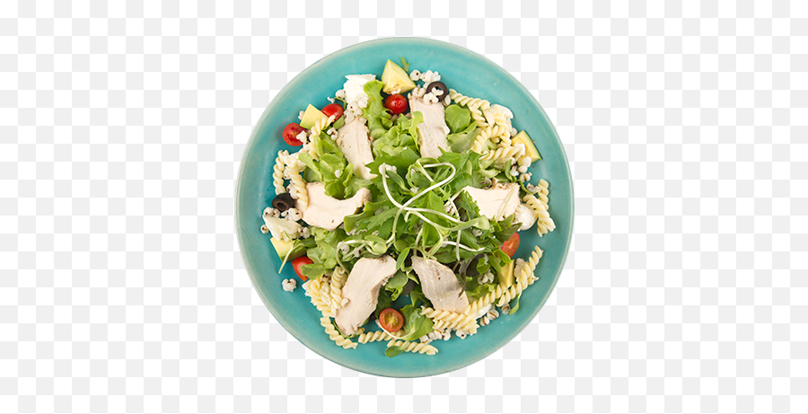 Wecafe Phuket U2013 Phuketu0027s Best Salads Cafe - Fitness Nutrition Emoji,Google Salad Emoji