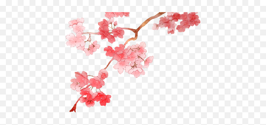 Flowers Png Tumblr Cherry Blossom Emoji - Clip Art Library Anime Cherry Blossom Png,Cherry Emoji