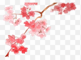 Flowers Png Tumblr Cherry Blossom Emoji - Clip Art Library Anime Cherry Blossom Png,Cherry Emoji