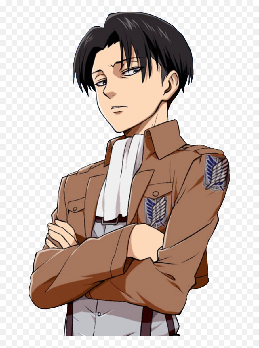 Insanechicken15 On Scratch - Levi Attack On Titan Emoji,Levi Emoji