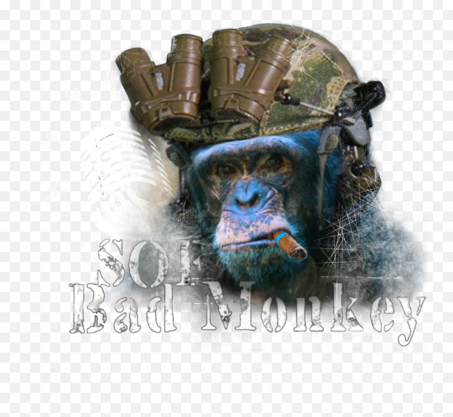 Sofbadmonkey - Old World Monkeys Emoji,Chimp Emotions