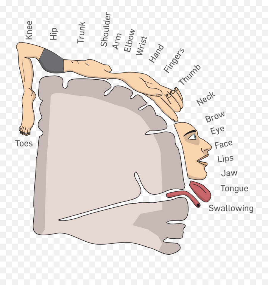 4thwavenow A Community Of People Who Question The - Homunculus Theory Emoji,Overlord Emotion Regulation