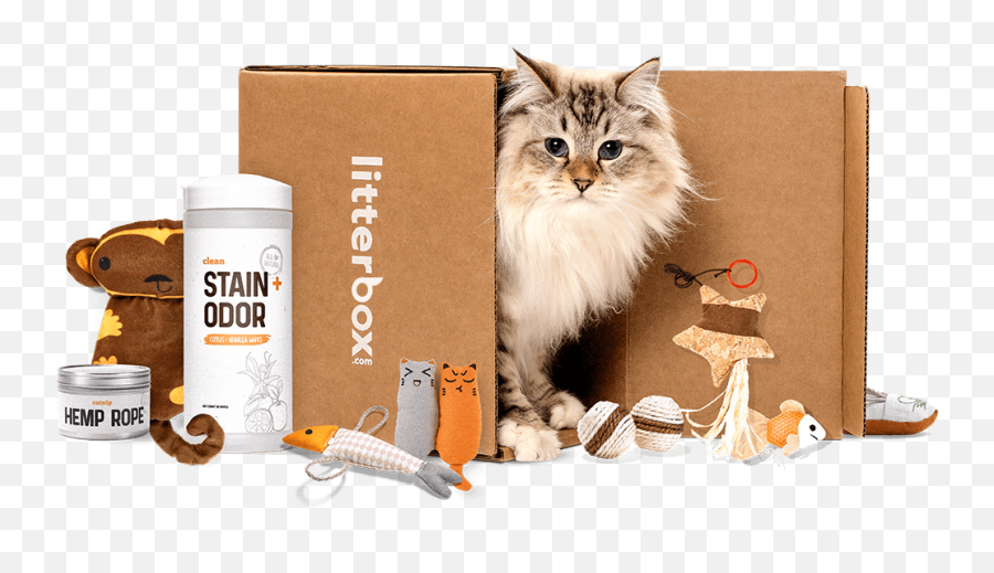 Toys - Cat Subscription Box Emoji,Cat Using Litter Box Emoticon