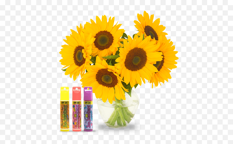 Sunflower Emoji - Fresh,Sunflower Emoji