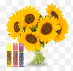 Sunflower Emoji - Fresh,Sunflower Emoji