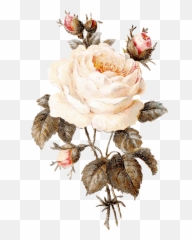 Tsoa - Vintage Pink Flower Clipart Emoji,Books By David Viscott Dealing With Emotions