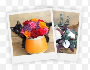 The Meaning Symbolism And History Of Red Roses U2013 Magic Emoji,Rose Emoticon For Facebook