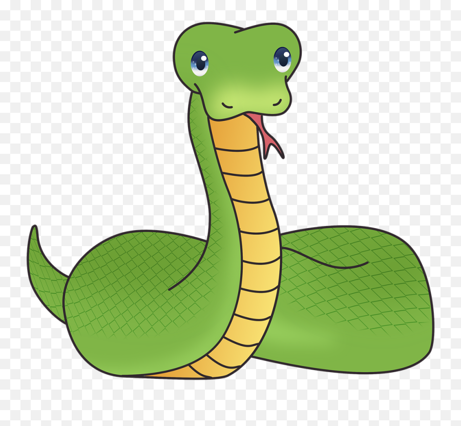 Free Photo Animals Snake Pattern Snake - Imagenes De Serpientes Kawaii Emoji,Snake Emoji Png