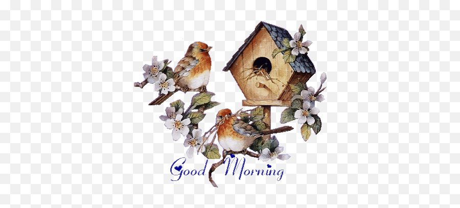 Top Birde Stickers For Android Ios - Good Morning Gif Download Birds Emoji,Morning Bird Emoji