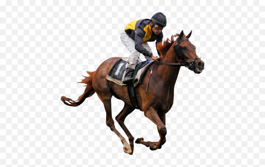 Horse Rider Race Sticker - Race Horse Transparent Emoji,Horse Rider Emoji