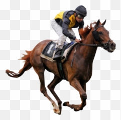 Horse Rider Race Sticker - Race Horse Transparent Emoji,Horse Rider Emoji