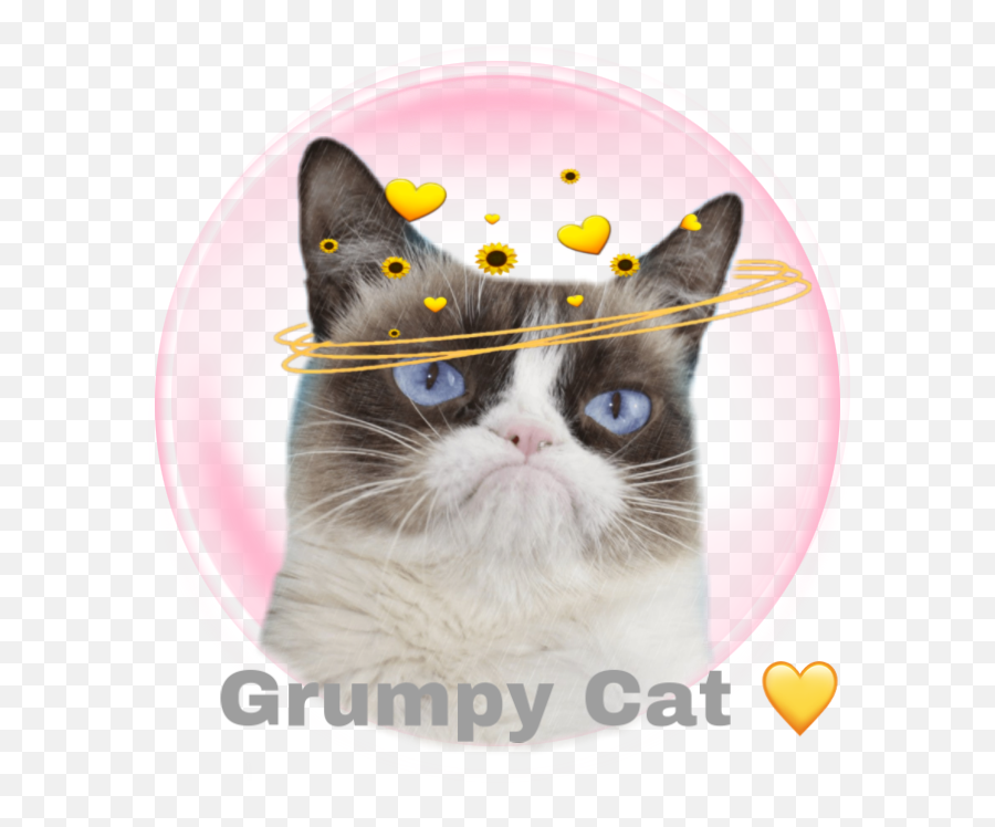 Grumpy Cat Sticker By - Famous Grumpy Cat Emoji,Pouting Cat Emoji
