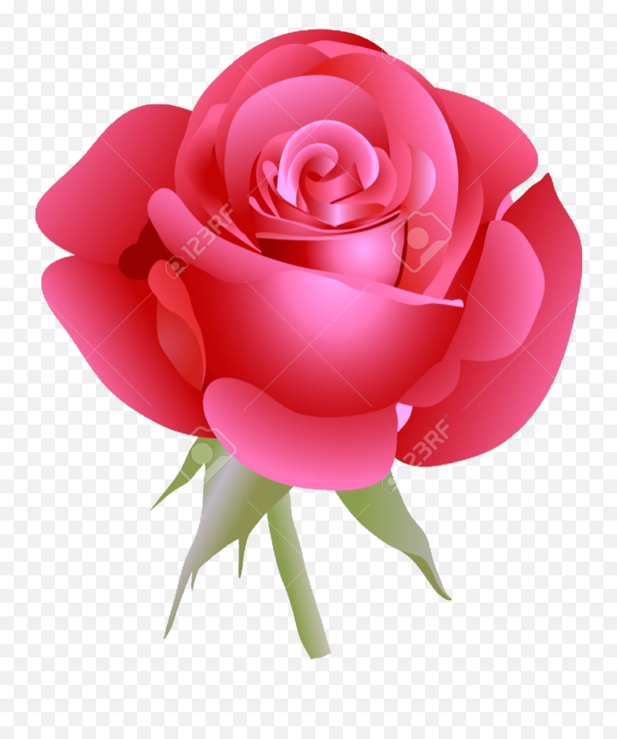 Pin By Bipin Singh On Emoji Png Flowers Rose Emoji - Beautiful Picture Of Rose,Pink Rose Emoji