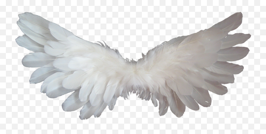 White Wings For An Angel As A Graphic - Angel Wings Png Baby Emoji,Emotions And Wings