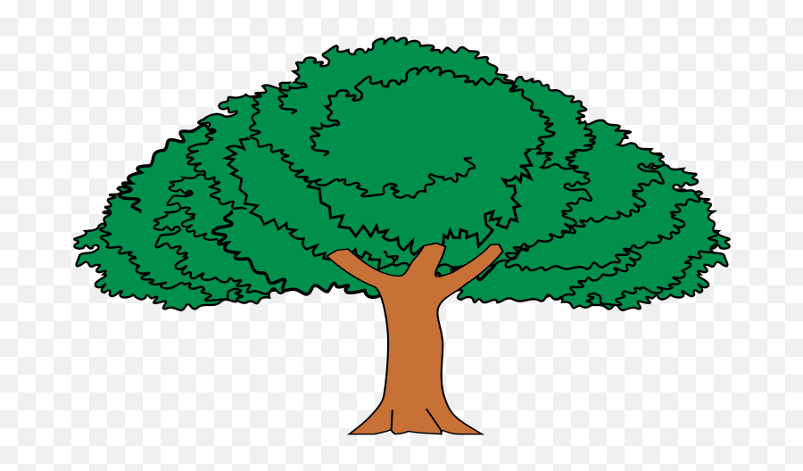 Arbol De Guanacaste Mueble Heraldico - Arbol Nacional De Arbol De Amate Dibujo Emoji,Emojis Librospng