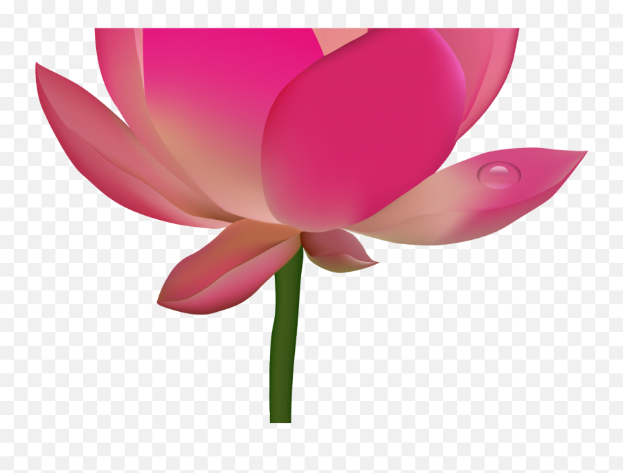 Transparent Background Lotus Png - Lotus Flower Png Images Hd Emoji,Wind Pinwheel Emoji