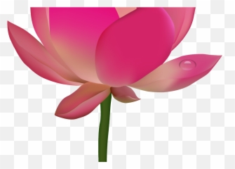 Transparent Background Lotus Png - Lotus Flower Png Images Hd Emoji,Wind Pinwheel Emoji