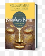 The Neuroscience Of - Tom Yum Budakeszi Thai Food Emoji,Kornfield Meditation Emotions