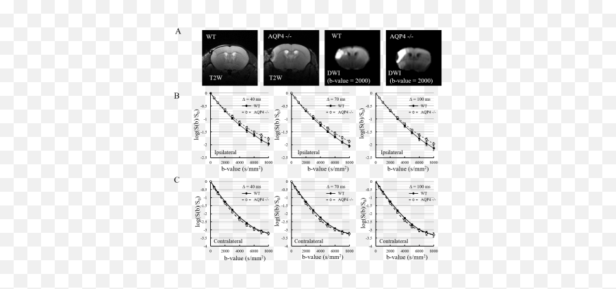 Ismrm21 - Flow Diffusion U0026 Preclinical Modelling In Stroke Dot Emoji,Cognitive Appraisal Theory Of Emotion Flow Chart