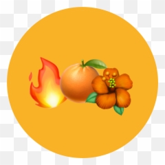 Emoji Sticker - Fresh,Spongebbob Emojis With Text