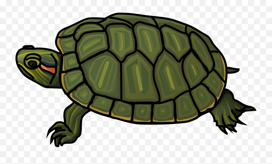 Red - Eared Slider Turtle Clipart Free Download Transparent Red Eared Slider Turtle Clipart Emoji,Sea Turtle Emoji