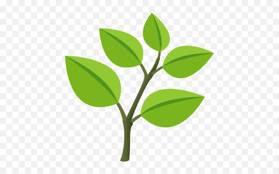 Emoji Herb To Copy Paste,Leaf Emoji