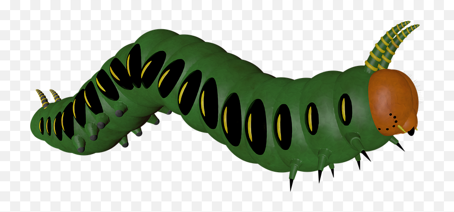 Free Caterpillar Worm Illustrations - Parasitism Emoji,Caterpillar Emoji