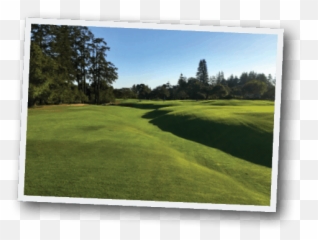 How To Handle A Member Meeting - Golf Course Industry Land Emoji,Emotion Golf Cart