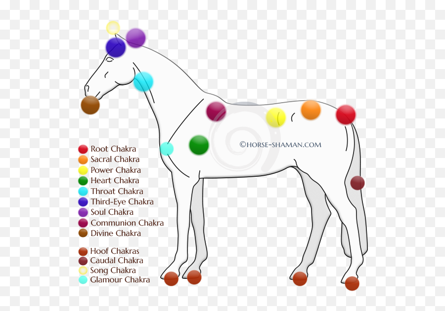 Overview Of The Horseu0027s Chakras Including Causes And Effects - Equine Chakras Emoji,Horse Emotions