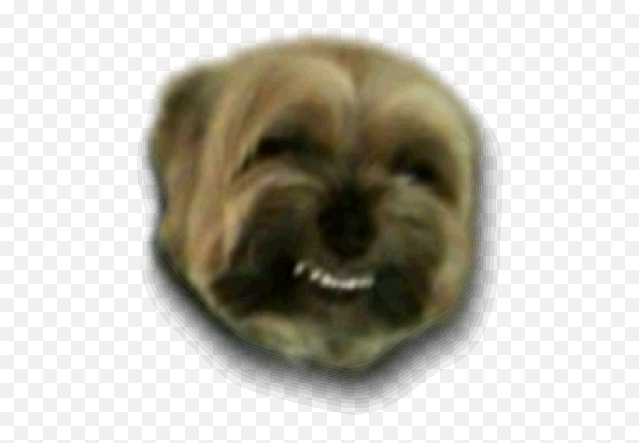 Pol - Politically Incorrect Thread 176155456 Dog Emoji,